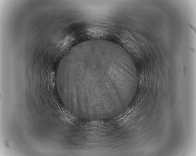 X0000096991346200802221448