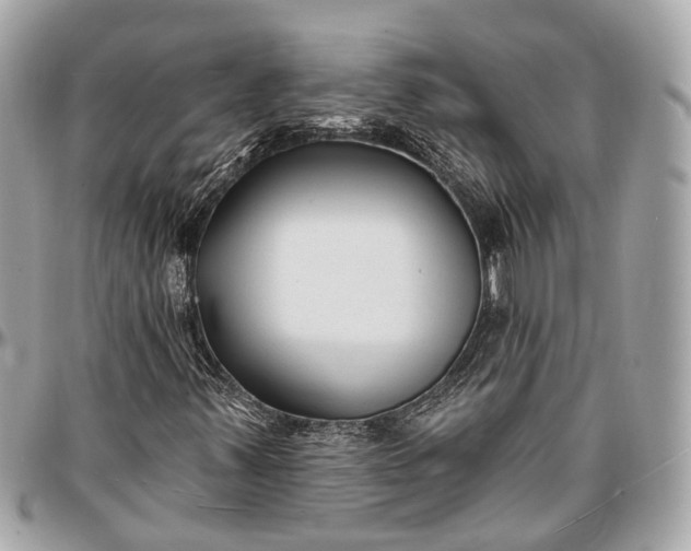 X0000096991347200802221448