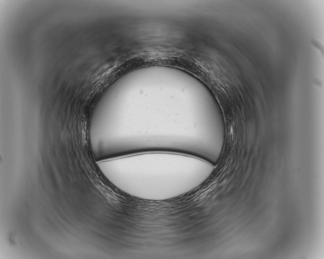 X0000096991348200802221448