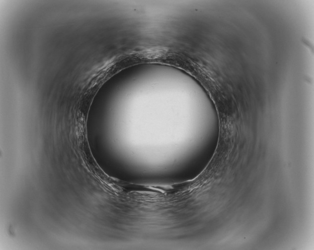 X0000096991349200802221448