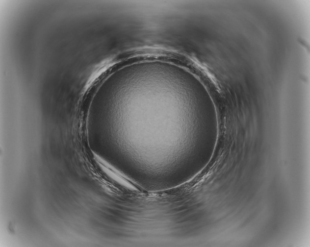 X0000096991352200802221448