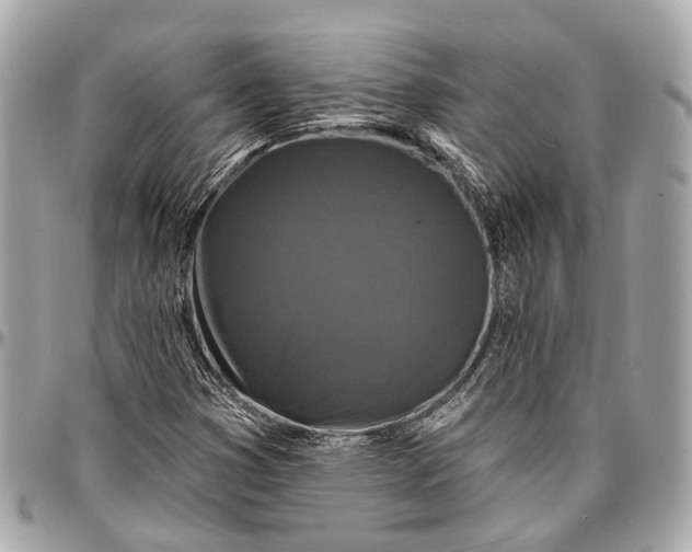 X0000096991353200802221448