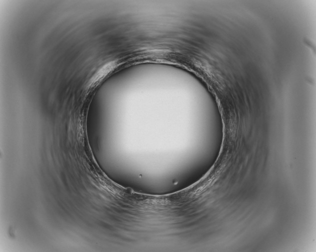 X0000096991354200802221448