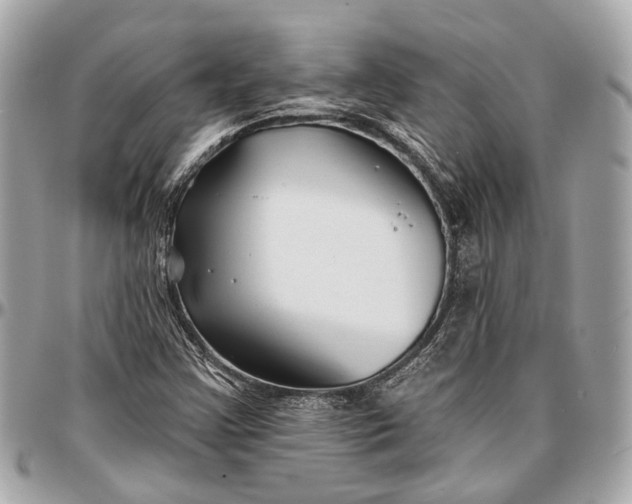 X0000096991355200802221448