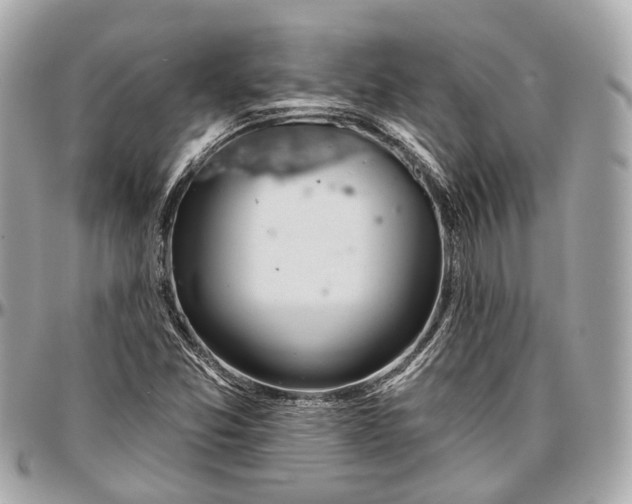 X0000096991357200802221448