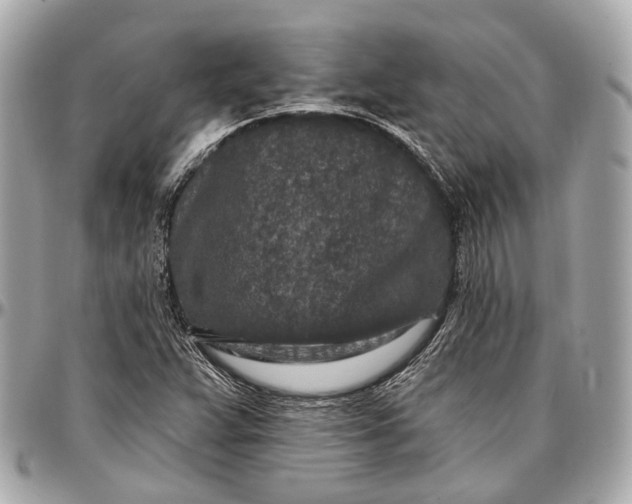 X0000096991359200802221448