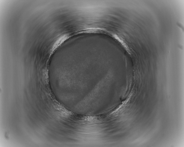 X0000096991362200802221448