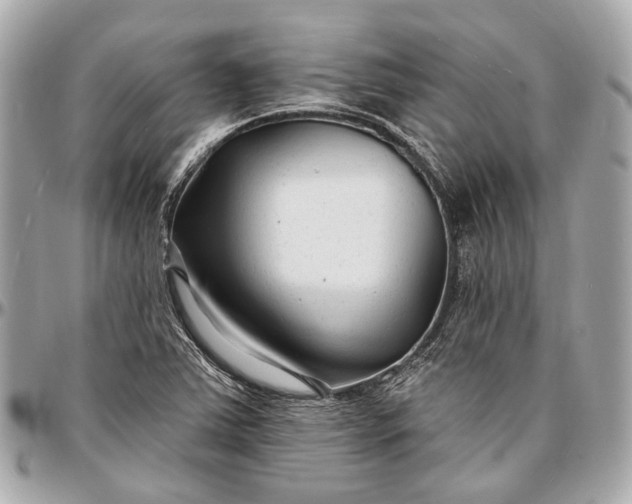 X0000096991363200802221448