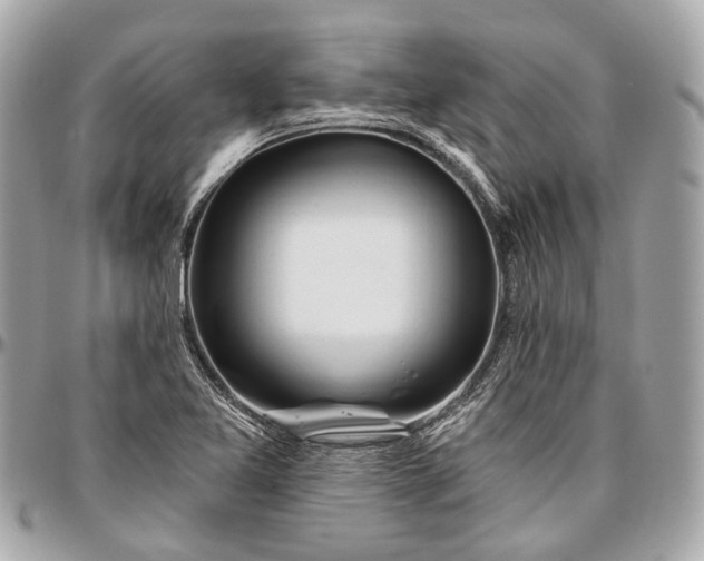 X0000096991365200802221448