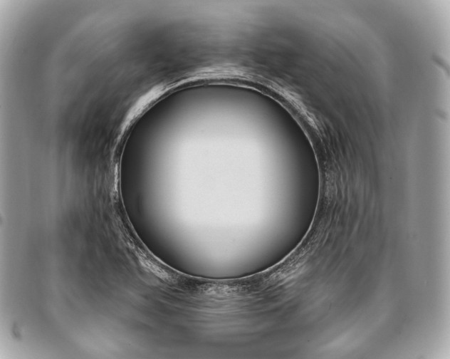 X0000096991366200802221448
