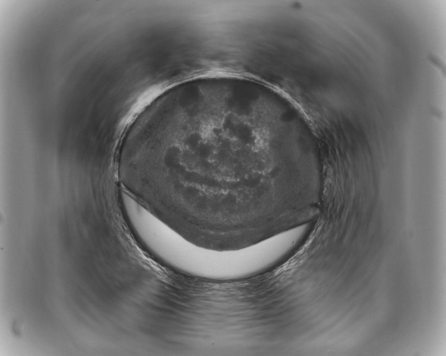 X0000096991367200802221448