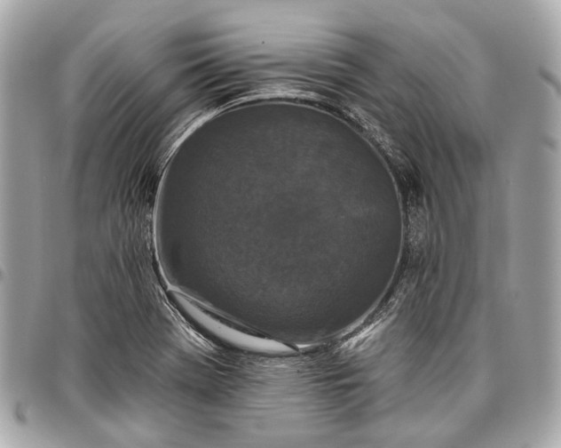 X0000096991369200802221447