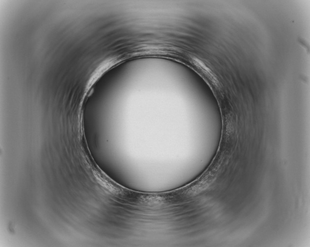 X0000096991370200802221447