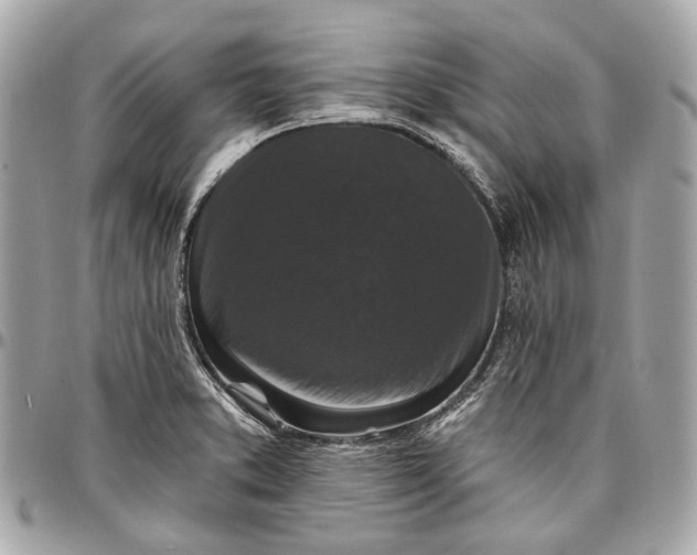 X0000096991373200802221447