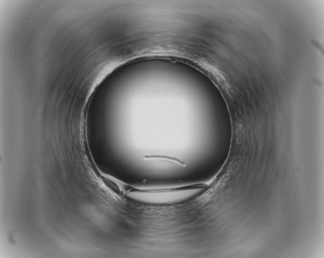 X0000096991374200802221447