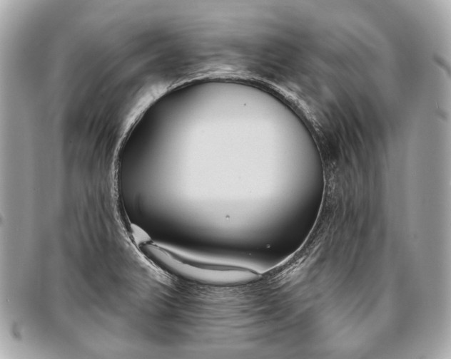 X0000096991375200802221447