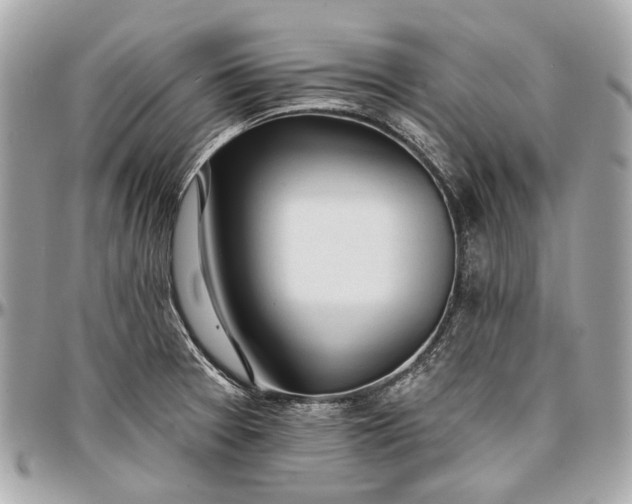 X0000096991377200802221447