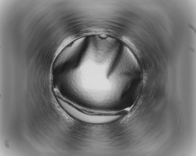 X0000096991378200802221447