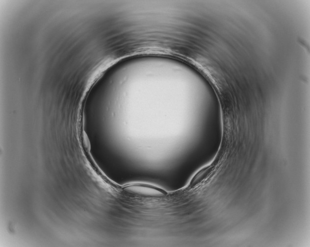 X0000096991379200802221447