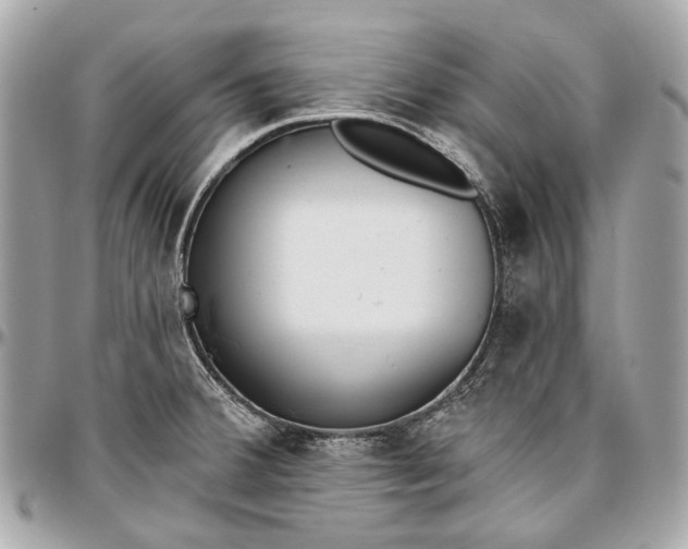 X0000096991380200802221447