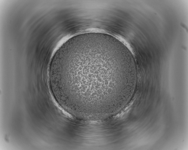 X0000096991381200802221447
