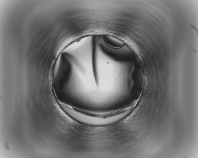 X0000096991382200802221447