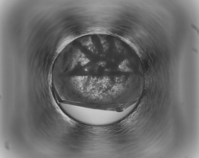 X0000096991383200802221447