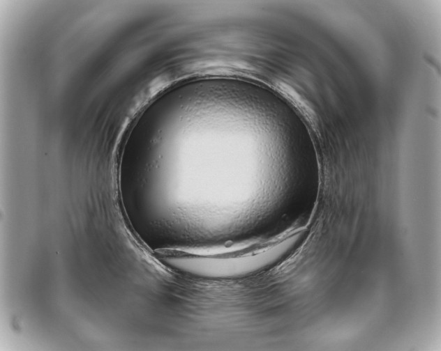 X0000096991384200802221447