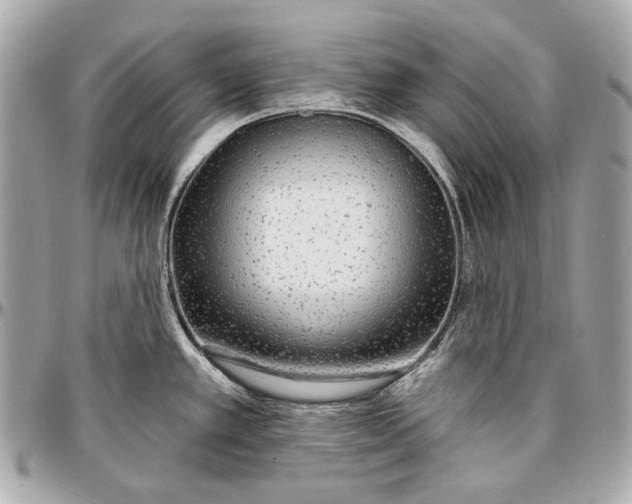 X0000096991389200802221447