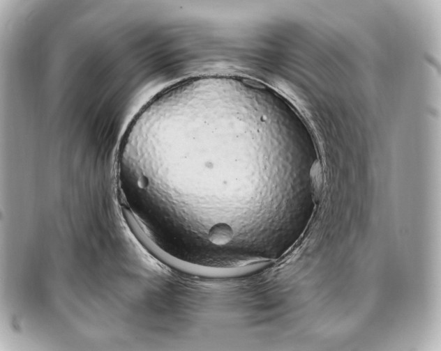 X0000096991392200802221447