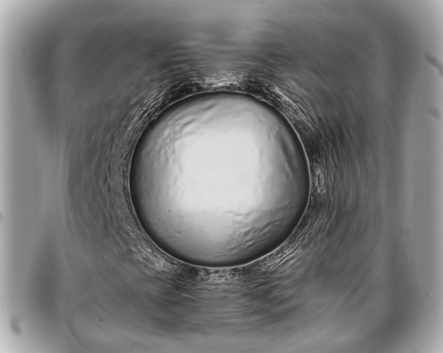 X0000096991393200802221446