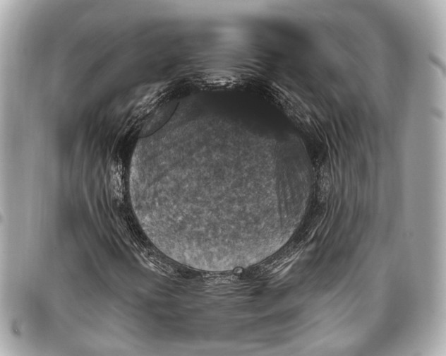 X0000096991394200802221446