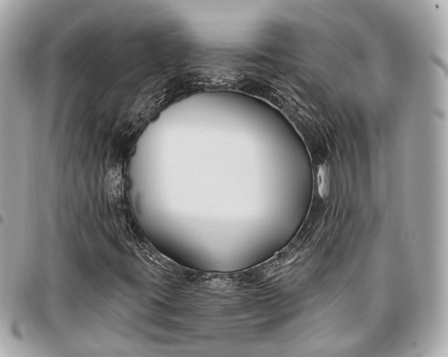 X0000096991395200802221446