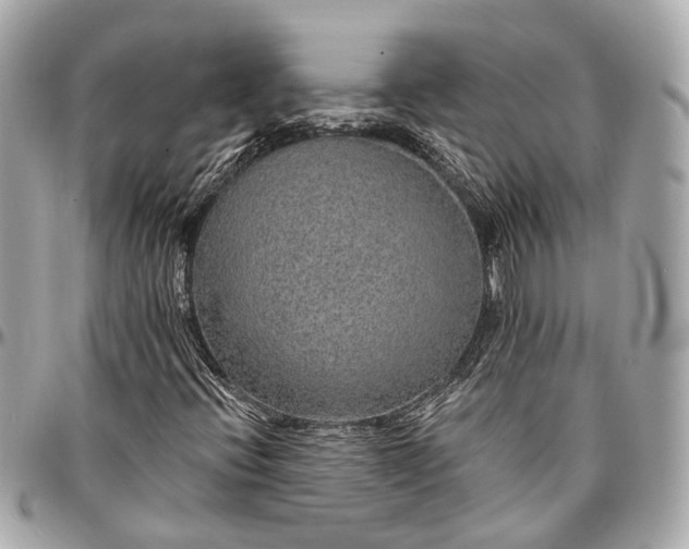 X0000096991396200802221446