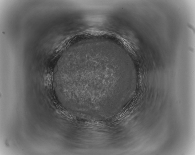 X0000096991397200802221446