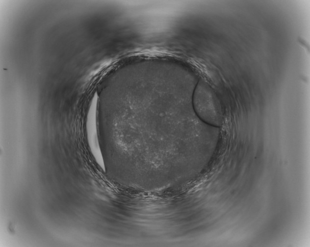 X0000096991398200802221446