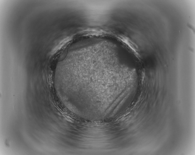 X0000096991399200802221446