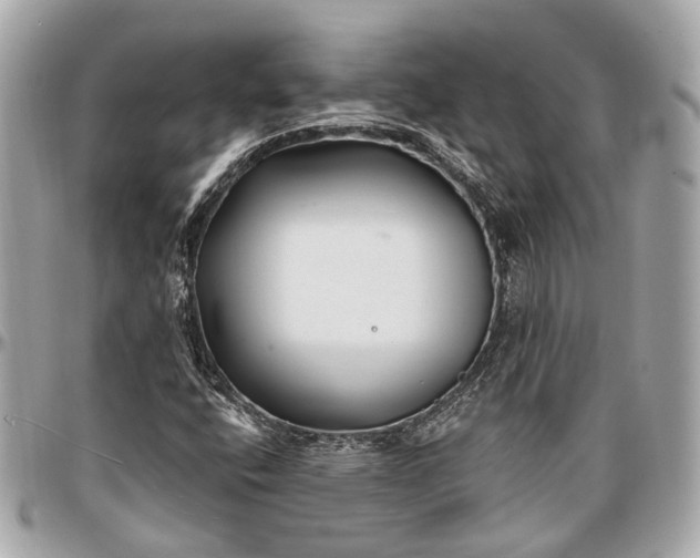 X0000096991400200802221446