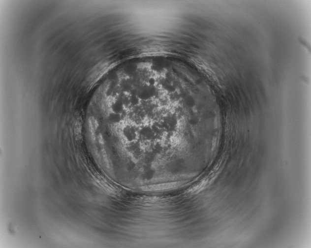 X0000096991401200802221446
