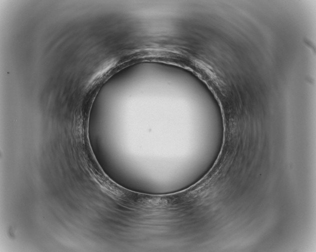 X0000096991403200802221446