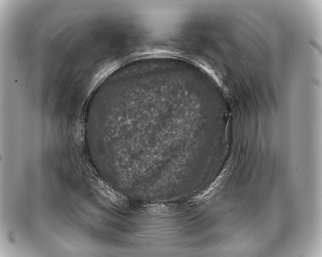 X0000096991405200802221446