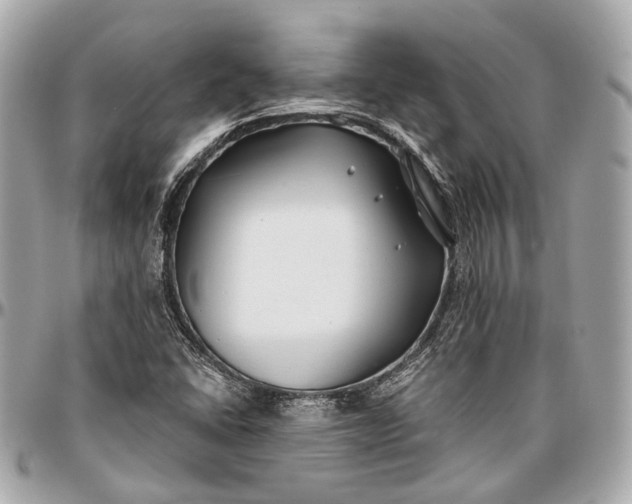 X0000096991406200802221446