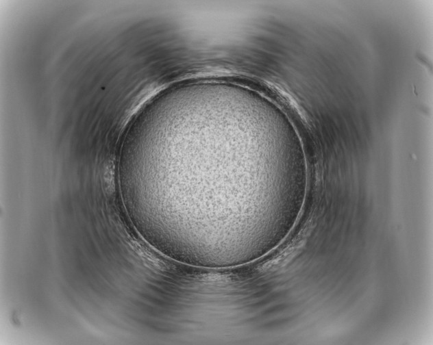 X0000096991409200802221447
