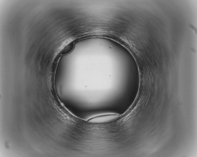 X0000096991410200802221447