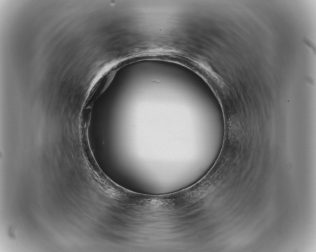 X0000096991412200802221447