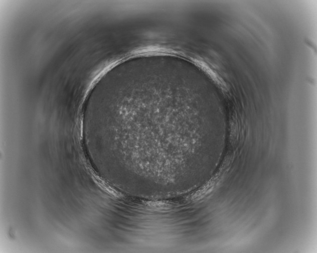 X0000096991413200802221447