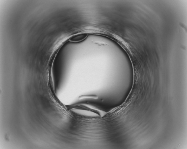 X0000096991415200802221447