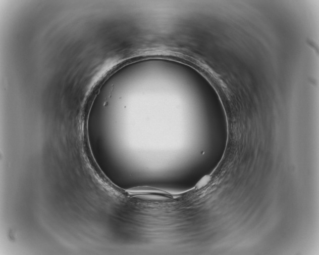 X0000096991416200802221447