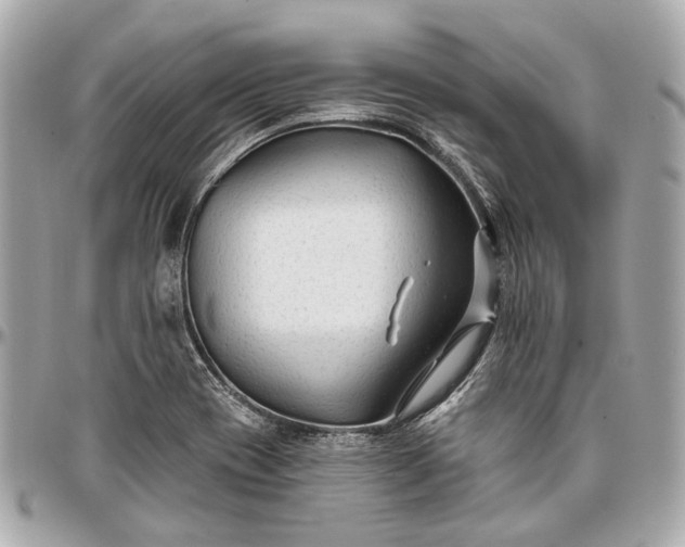 X0000096991417200802221447