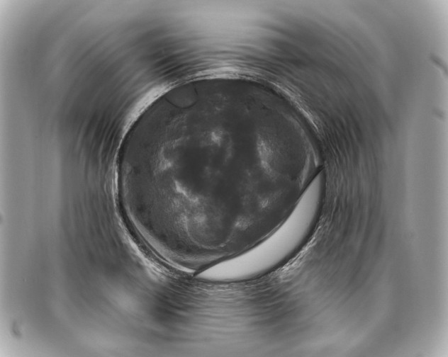 X0000096991418200802221447